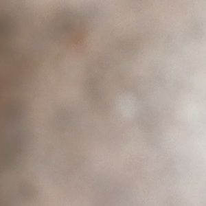 Meet your Posher, Daisy